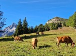 Mercredi 17 septembre 2025 09h22 Retour du ciel bleu et d'une température estivale dès jeudi