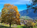 Mardi 07 octobre 2025 12h04 L'anticyclone s'est installé pour plusieurs jours. Des passages nuageux certains jours et possible du stratus