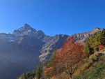 Samedi 18 octobre 2025 10h40 Après 9 jours consécutifs sous le stratus, le soleil s'est imposé aujourd'hui avant la dégradation pluvieuse dès dimanche suite à une courte période de Foehn