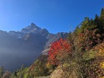 Samedi 18 octobre 2025 10h43 Le soleil s'est imposé aujourd'hui malgré la brume