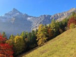 Samedi 18 octobre 2025 10h56 Bien ensoleillé malgré la brume et suite à la présence du stratus durant 9 jours consécutifs