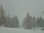 Jeudi 20 novembre 2025 10h10 Chutes de neige précoces 10 jours avant le début d'hiver météorologique
