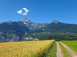 Samedi 20 juin 2026 10h48 Avant dernier jour du printemps astronomique et poursuite d'une météo très chaude durant toute la semaine à venir