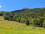 Mardi 08 septembre 2026 12h39 Nouveau record de température du mois de septembre à 27.3°C lundi 07 effaçant l'ancien de 25.8°C de 2009 et 2024