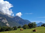 Lundi 14 septembre 2026 15h56 Magnifique journée estivale. Idem pour demain avant les précipitations mercredi et baisse des températures