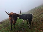 Dimanche 18 octobre 2026 11h08 Instabilité, c'est parti pour toute la semaine entre brouillard, soleil, précipitations et températures en baisse dès mercredi