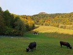Mardi 20 octobre 2026 09h17 Le Foehn s'est invité la nuit dernière pour compléter l'instabilité avant les précipitations demain, une embellie jeudi et précipitations pour fin de semaine