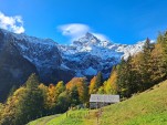 Jeudi 22 octobre 2026 10h15 Neige d'hier à 1200m au-dessous de la Cime de l'Est (Dents du Midi)
